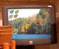A touchscreen LCD display.